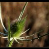 20121005_044